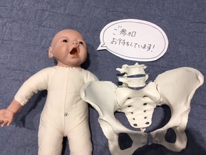 image1.JPG
